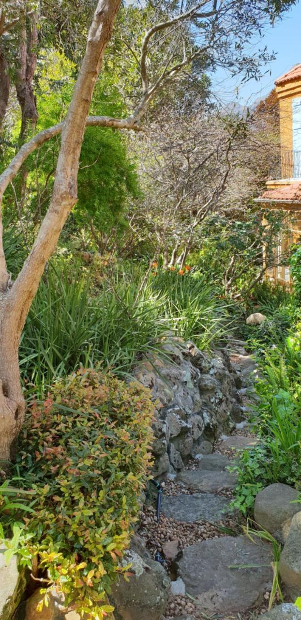 Cap Serein Guest House Cape Town Exterior photo
