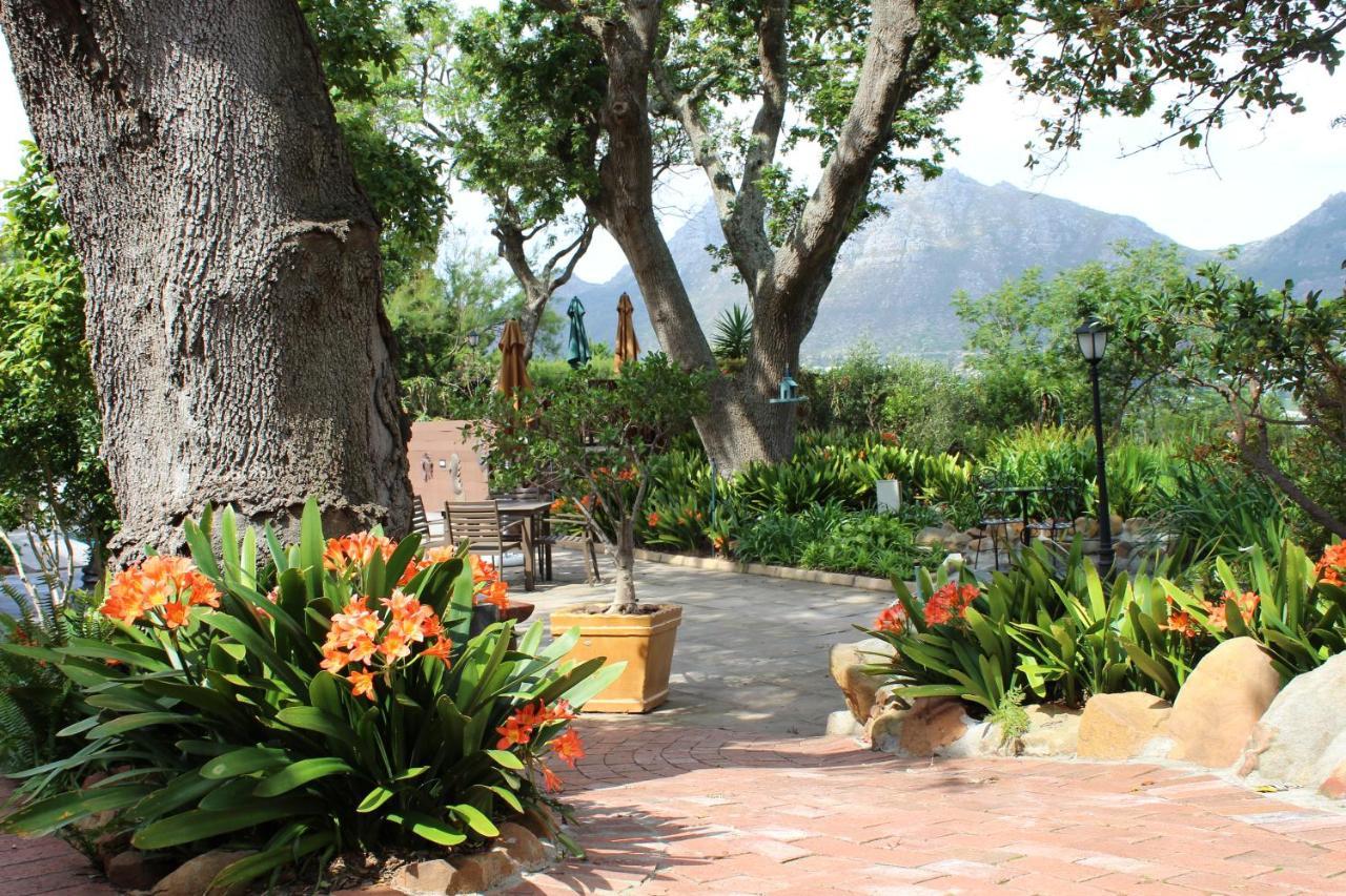 Cap Serein Guest House Cape Town Exterior photo